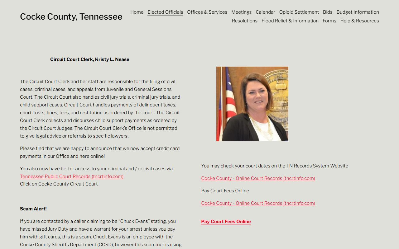 Cocke County Circuit Court Clerk background check records